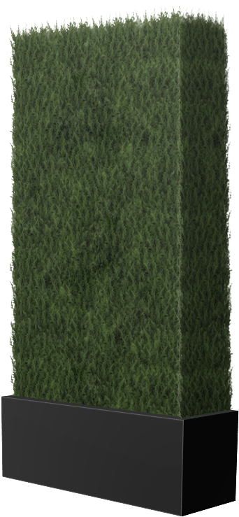 Heywood Cypress Wall (360x741), Png Download