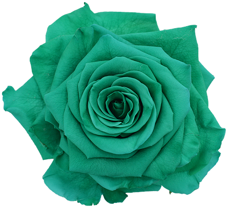 Prev - Green (460x460), Png Download