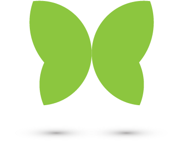 Butterfly - Identify A Butterfly (400x400), Png Download
