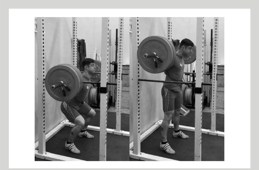 Sequence Of Nonballistic Concentric Only Half Squat - Science (850x557), Png Download