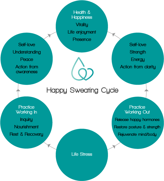 Happy Sweating Cycle - Bicycle (533x588), Png Download