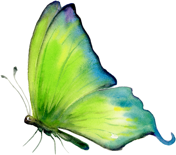 Bleed Area May Not Be Visible - Amy Kirkpatrick Art (600x600), Png Download