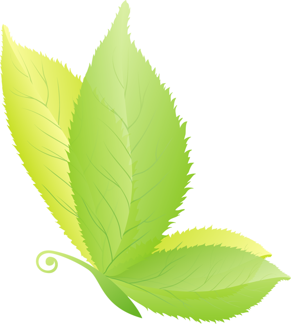 Products - Illustration (600x667), Png Download