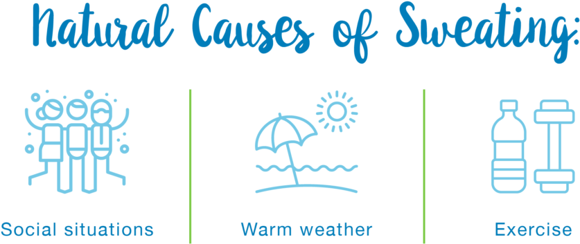 Natural Causes Of Sweating - Cupcake (1024x451), Png Download