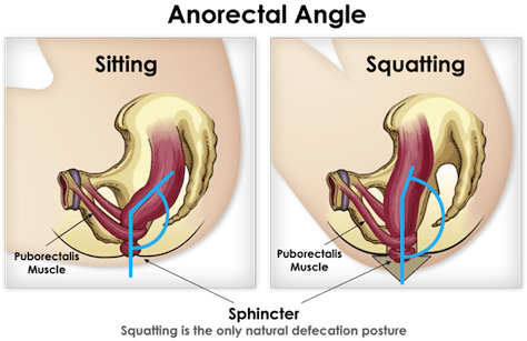 From - Pooping While Squatting (500x309), Png Download