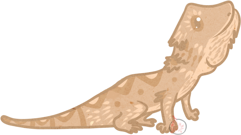 Bearded Dragon - Bearded Dragon Cartoon Png (900x495), Png Download
