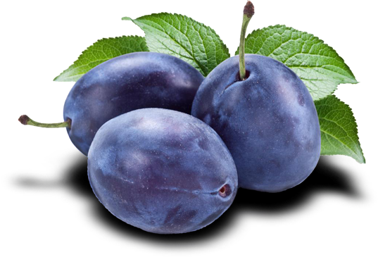 Plum - Prune Fruits (537x365), Png Download