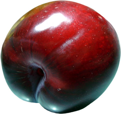 Download Plum Png Image - Plum Hd Png (500x472), Png Download