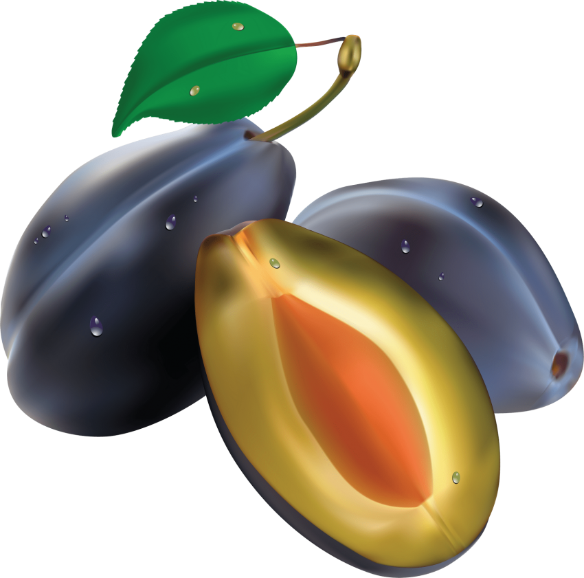 Free Png Plum Png Images Transparent - Set Of 5 Fruits (850x841), Png Download