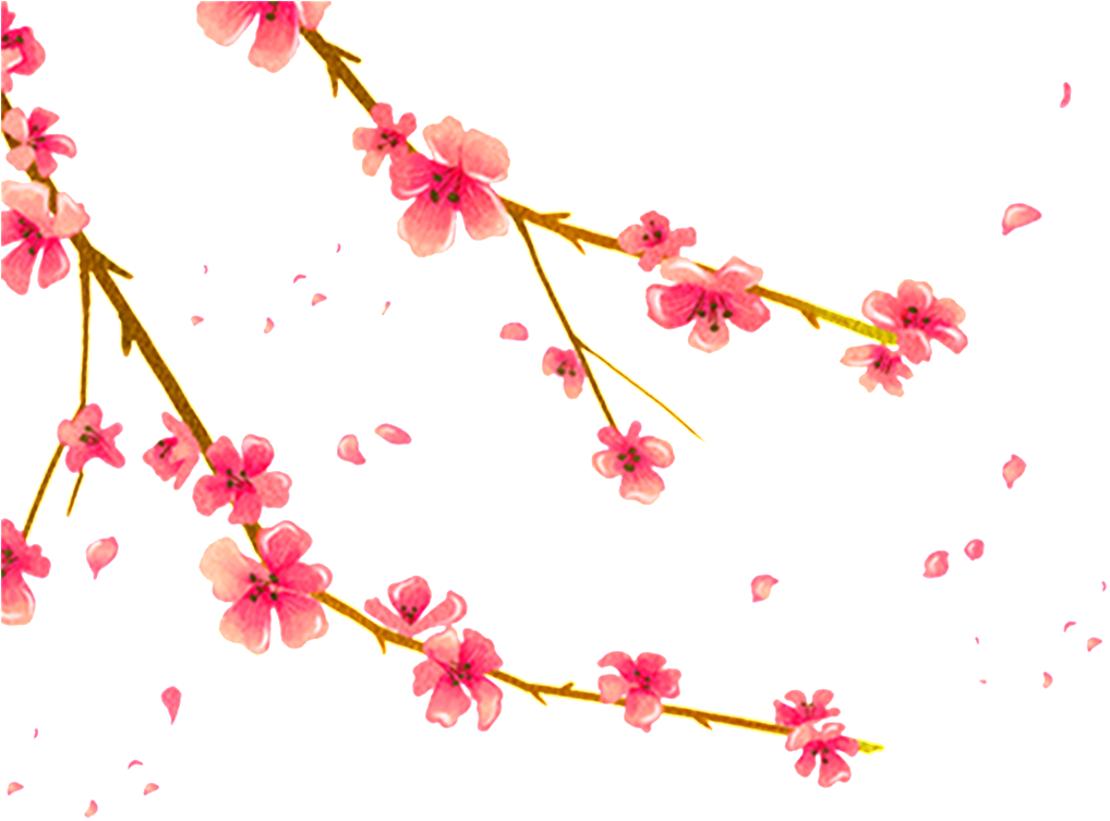 Hand Painted Plum Png - Background Spring Warm Png (1024x1024), Png Download