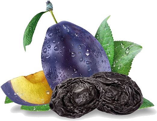 Since Ancient Times People Knew About The Nutritional - Suve Sljive Png (600x500), Png Download