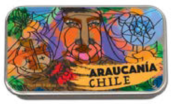 Araucanía - Suitcase (600x368), Png Download