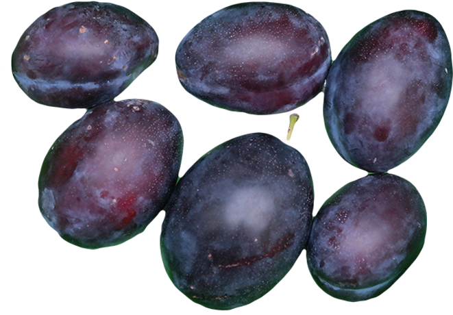 Plums - Different Species Of Plums (700x600), Png Download