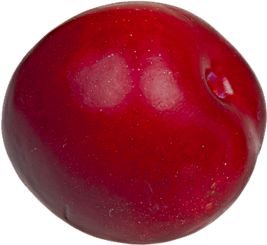 Plum Png Transparent Image - Portable Network Graphics (400x366), Png Download