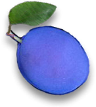 Blue Plum Software - Blue Plum (400x400), Png Download