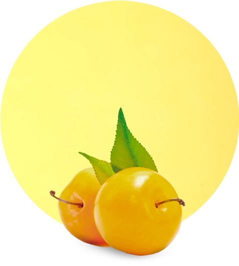 Yellow Plum Puree - Seedless Fruit (536x595), Png Download