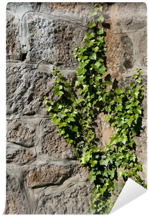 Wall (400x400), Png Download