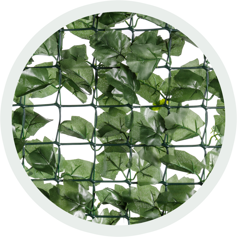 1m X - Circle (953x953), Png Download