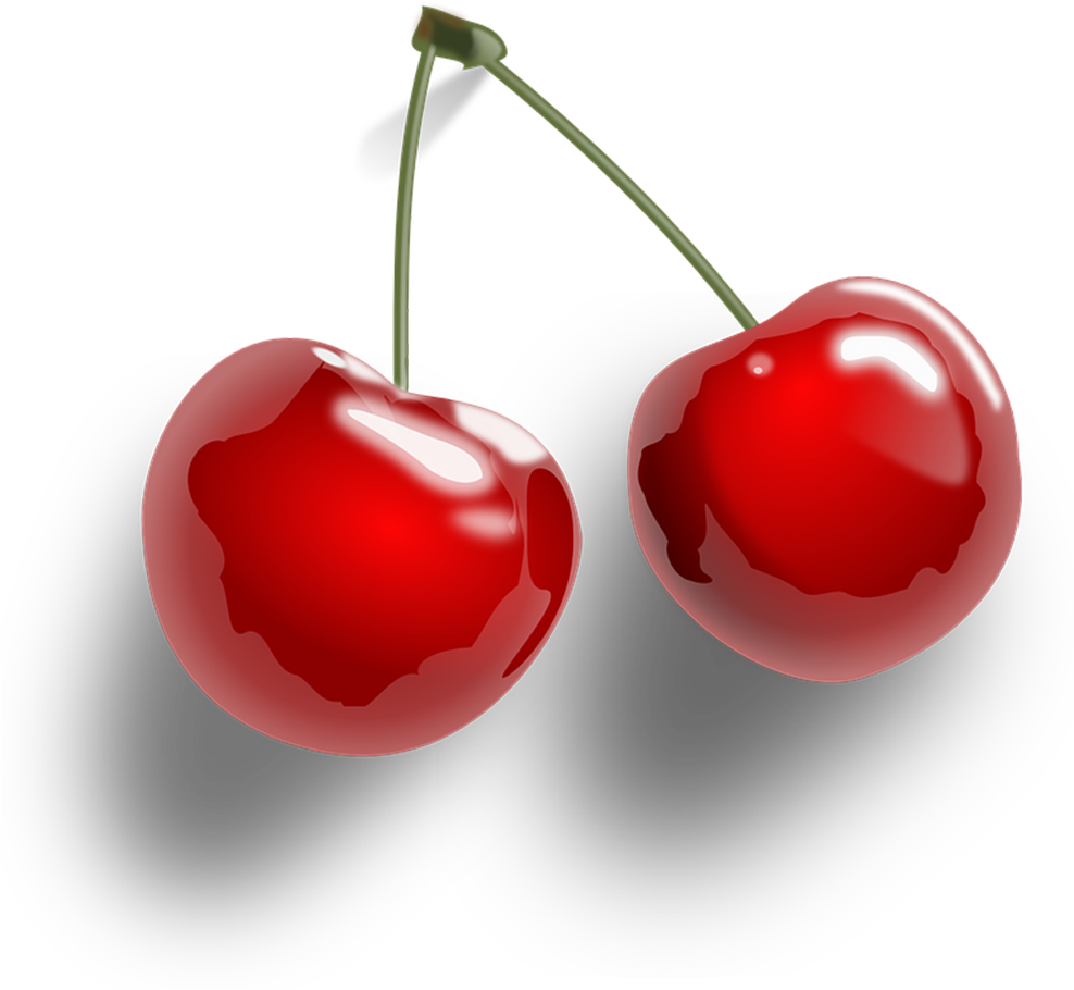 Hand Painted Cherry Vector - Cherry Transparent (1024x925), Png Download