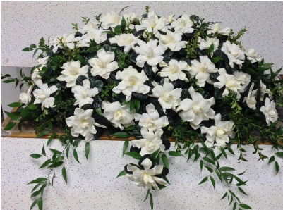 Gardenia Casket Cover - Casket Spray With Gardenia (400x400), Png Download
