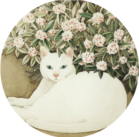 Gardenia - Kawa Simaya Cup / Bowl / Plate Yellow One Size (680x522), Png Download