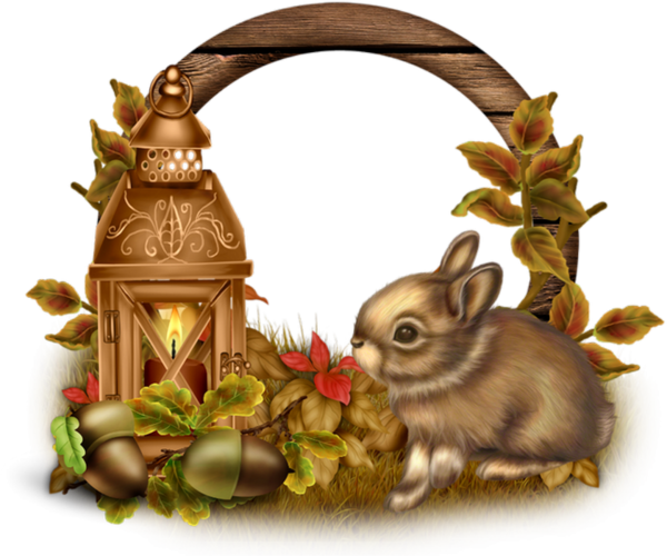Cadre Png, Lapin - Rabbit (600x500), Png Download