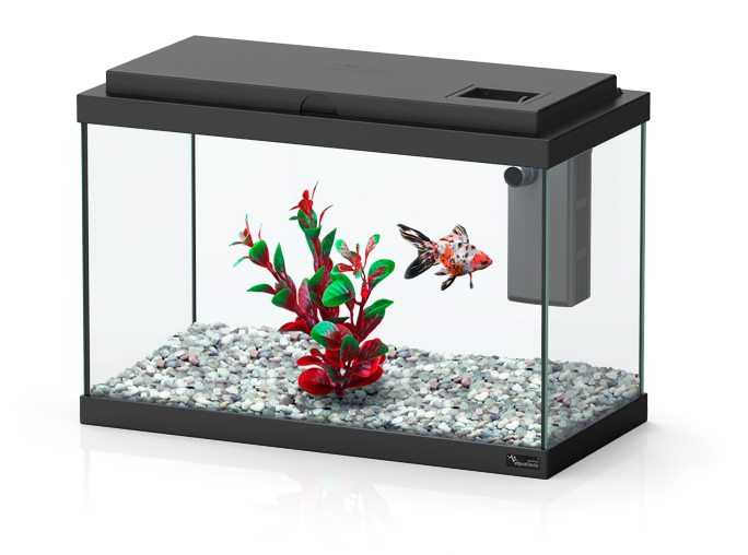 Funny Fish - Funny Fish Aquatlantis (788x712), Png Download