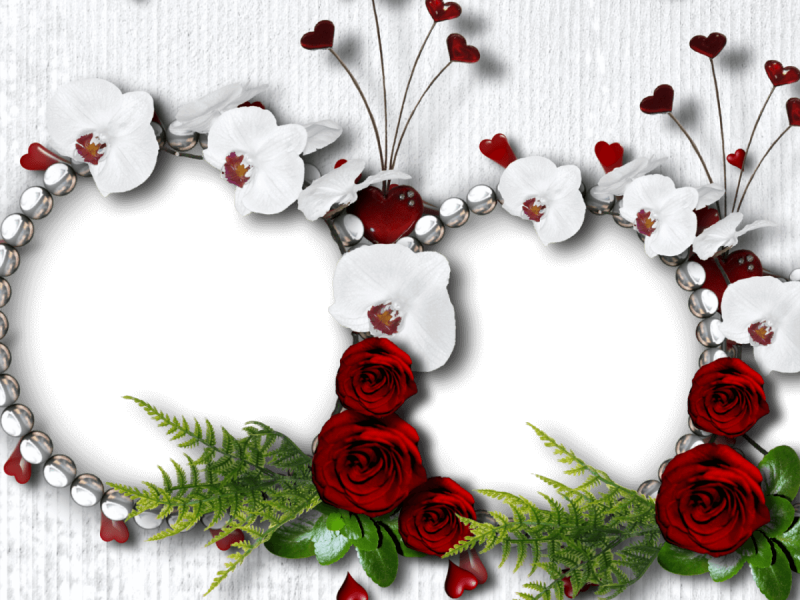 Molduras De Amor Para Varias Fotos - Rose Flower Photo Frame (800x600), Png Download