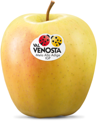 Golden Delicious Golden Delicious - Mele Golden Val Venosta (400x400), Png Download