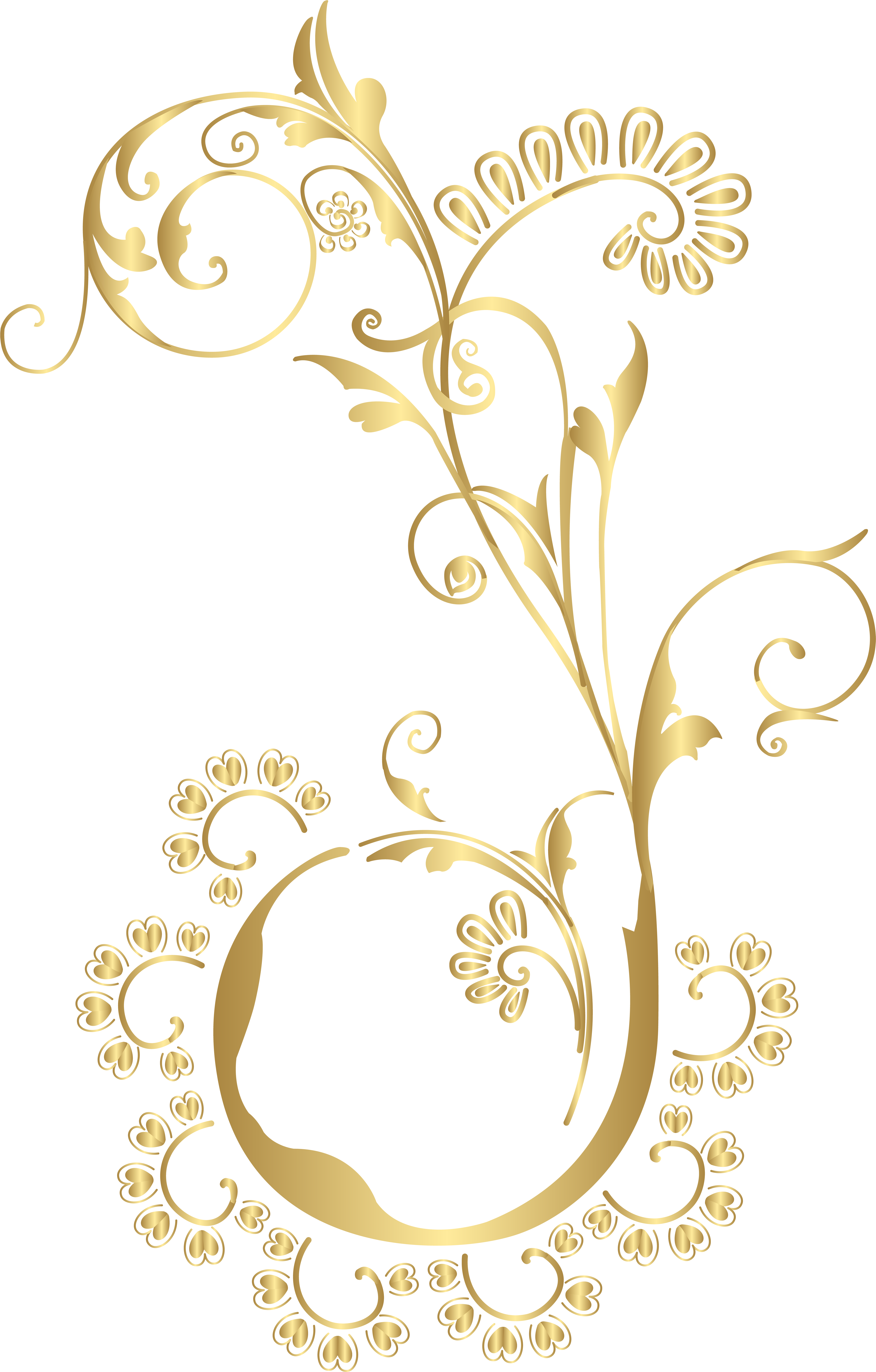 Gold Floral Png Png (5106x8000), Png Download
