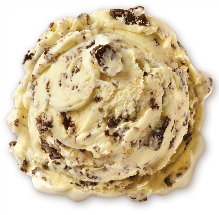 Download Homemade Brand Chocolate Chip Ice Cream Scoop Chocolate Chip