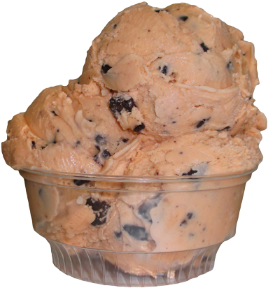 Orange Custard Chocolate Chip - Babcock Hall Dairy Store (465x500), Png Download