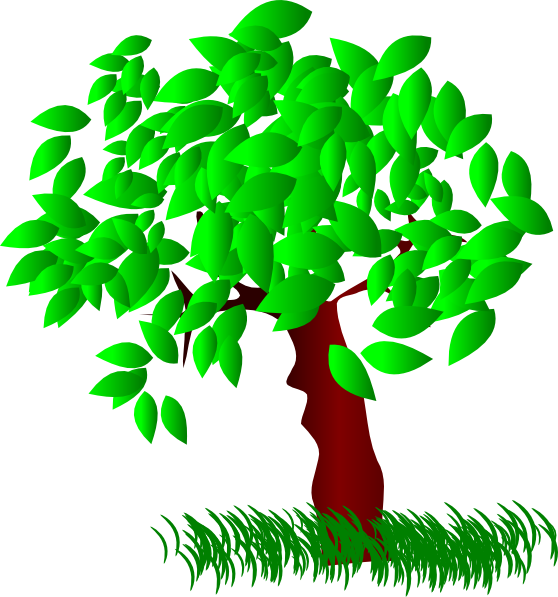 Tree Large Leaves Clip Art At Clipartimage - Tree Leaves Clip Art (558x597), Png Download