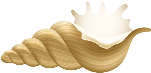 Conch Png Clip Art - Conch Clipart (500x250), Png Download