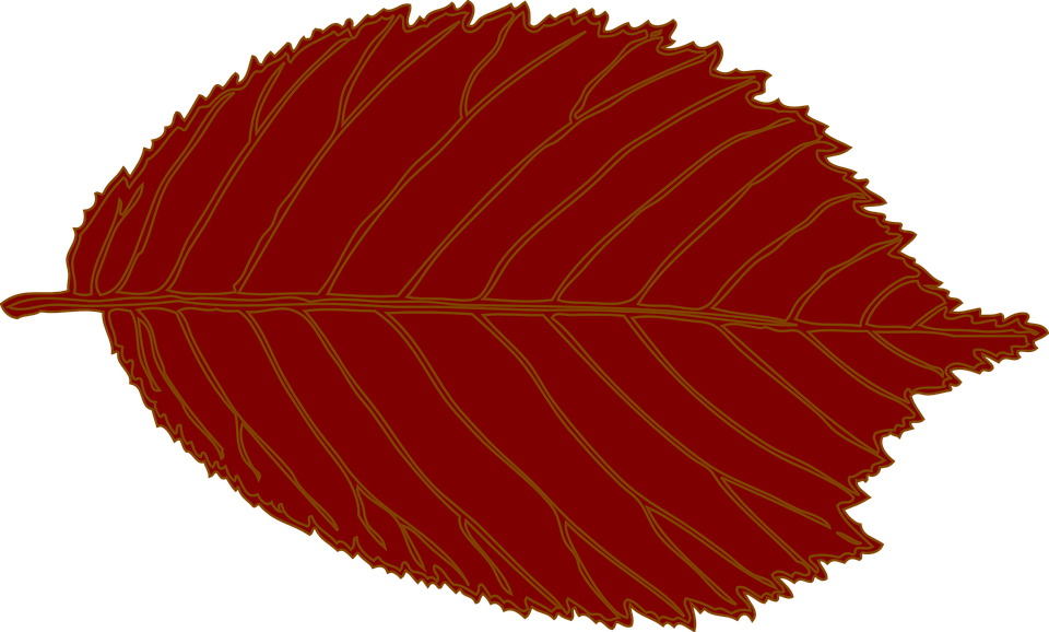 Brown Leaf Clip Art (600x361), Png Download