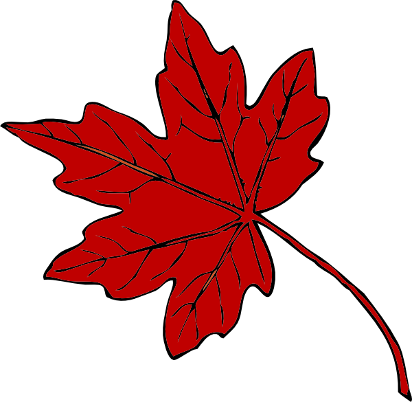 Red Maple Leaf Clipart (600x585), Png Download