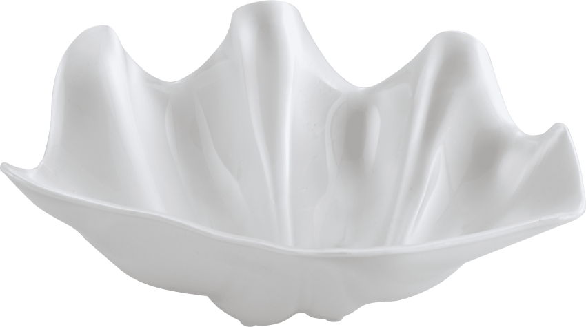 Free Png Conch Png Images Transparent - White (850x475), Png Download