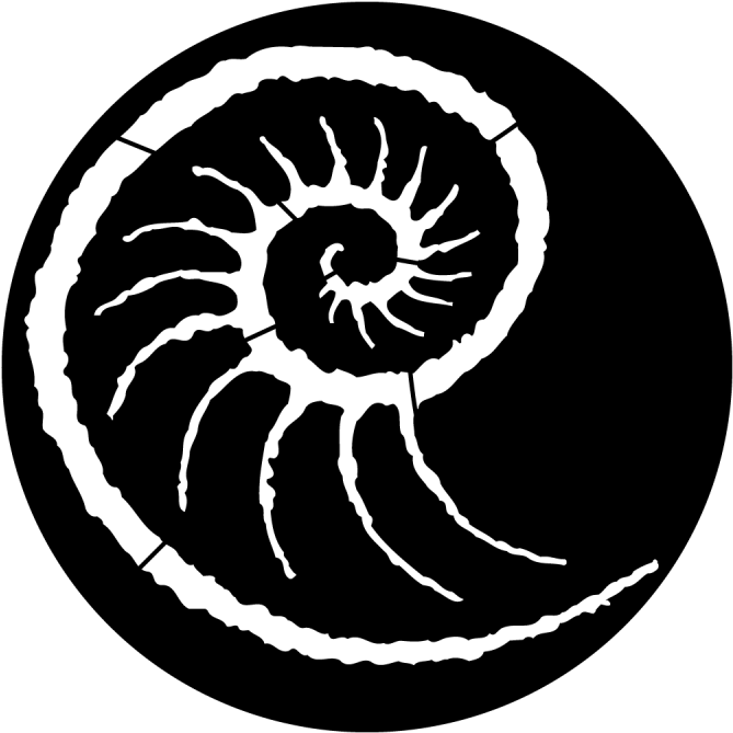 Sea Conch (800x800), Png Download