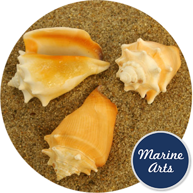 Chalkboard Class Of Graduation Gift Stickers (395x395), Png Download