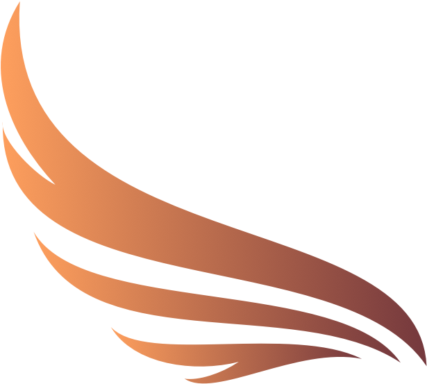 Wings - Portable Network Graphics (620x560), Png Download