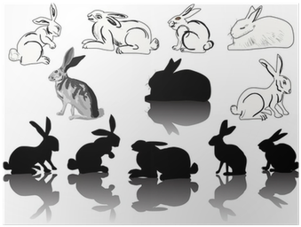 Twelve Hare And Rabbit Silhouettes On White Poster - Leporids (400x400), Png Download
