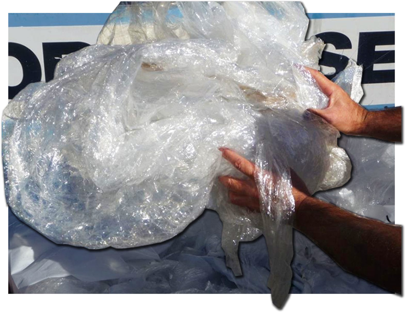 2 Plastic For Baling - Freshwater Whipray (1748x1284), Png Download