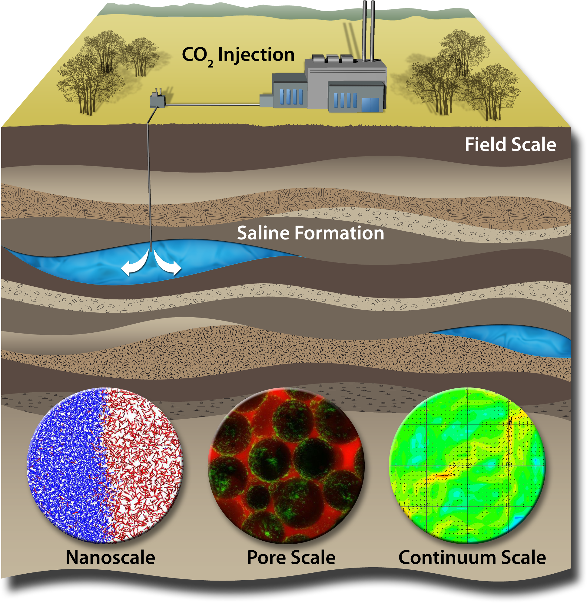Carbon Sequestration Research Continues At Sandia Labs - Physical Carbon Sequestration (2000x2136), Png Download