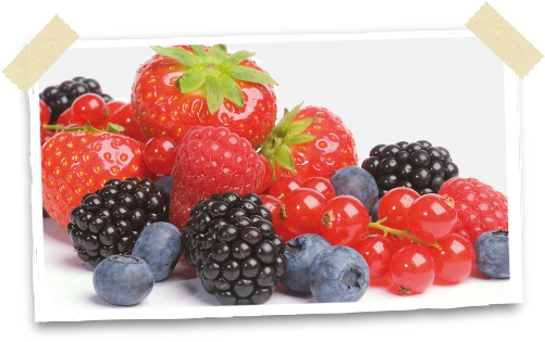 Best Of Berries - Blackberry (500x321), Png Download
