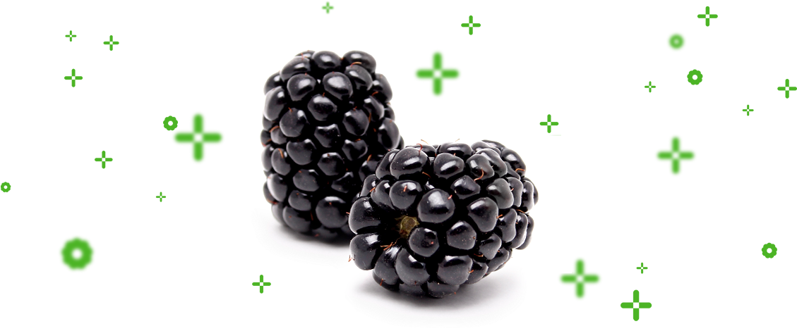 Our Philosophy Is Based On The Sole And Essential Objective - Blackberry (1149x473), Png Download