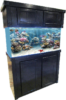 Tank R&j Stand Bk Oak Sig 48x18 {bin-2} Sd-x Free (400x400), Png Download