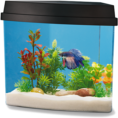1 - 2 Gallon - National Geographic 2 Gallon Fish Tank (700x430), Png Download