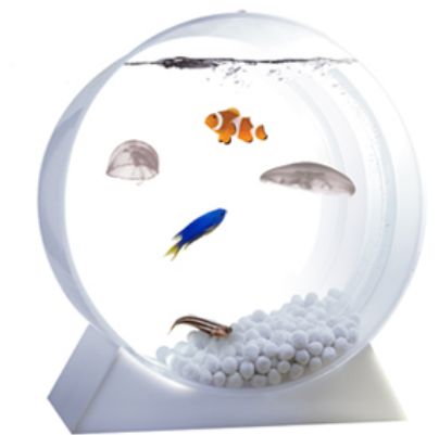 Jellyfish Tank For The Desktop - Jellyfish And Fish Tank (600x400), Png Download