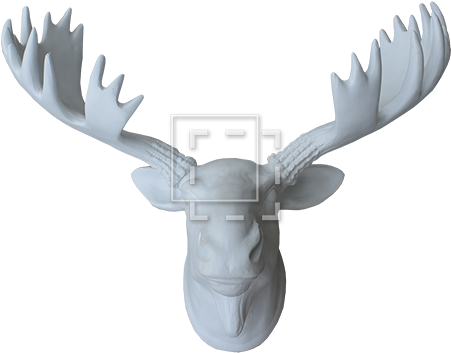 Moosehead Front View - Reindeer (450x450), Png Download