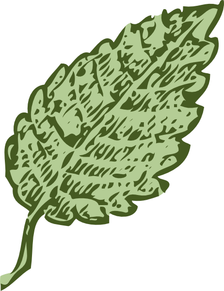 How To Set Use Single Leaf Clipart - Các Cây Lá Đơn (462x600), Png Download